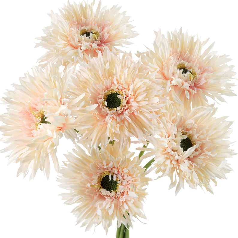 🌼2025 Hot Sale🔥Realistic Artificial Spider Gerbera Daisies💐