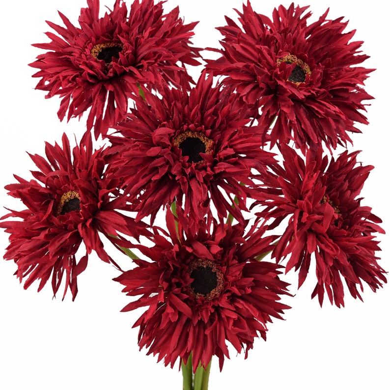 🌼2025 Hot Sale🔥Realistic Artificial Spider Gerbera Daisies💐