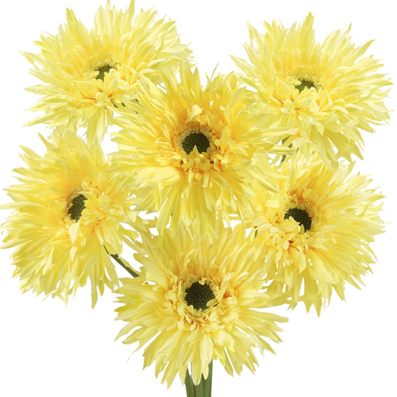 🌼2025 Hot Sale🔥Realistic Artificial Spider Gerbera Daisies💐