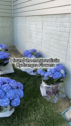 Most realistic artificial hydrangea flowers display GIF