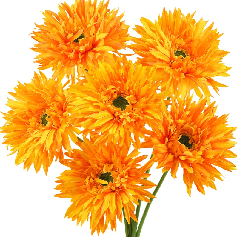 🌼2025 Hot Sale🔥Realistic Artificial Spider Gerbera Daisies💐
