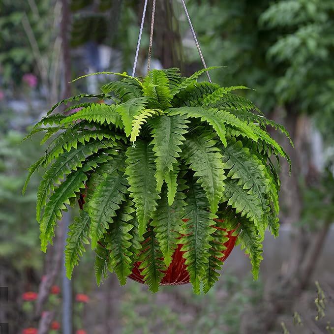 💥$9.99 On Sale Today Only🌱UV Resistant Lifelike Artificial Boston Fern