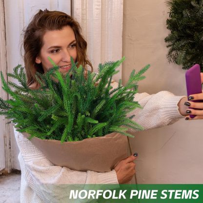 🔥Only $9.97🔥The Best Holiday Greenery - Realistic Norfolk Pine Stems