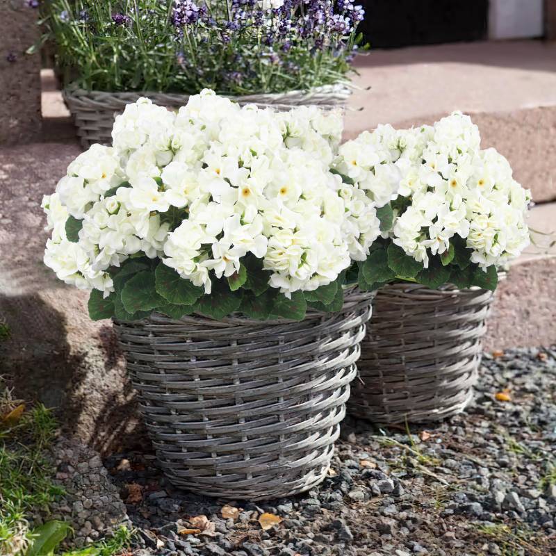 💐2025 Hot Sale✨UV-Resistant Lifelike Artificial Geraniums