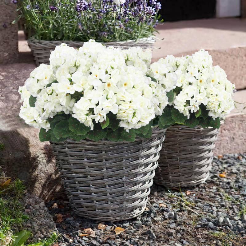 💐2025 Hot Sale✨UV-Resistant Lifelike Artificial Geraniums