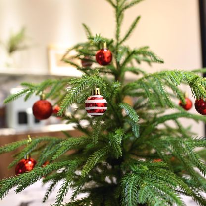 🎄Real Touch Norfolk Pine Topiary Trees for Front Porch Decor
