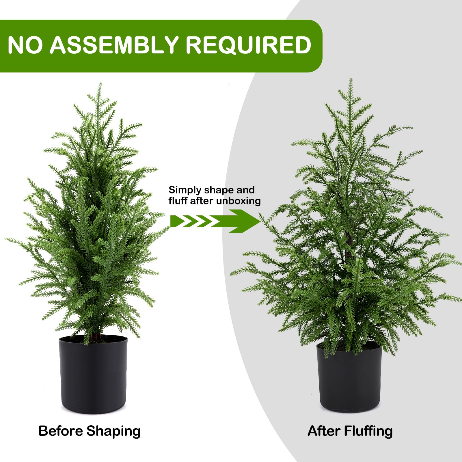 🎄Real Touch Norfolk Pine Topiary Trees for Front Porch Decor