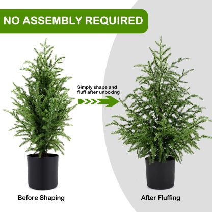 🎄Real Touch Norfolk Pine Topiary Trees for Front Porch Decor
