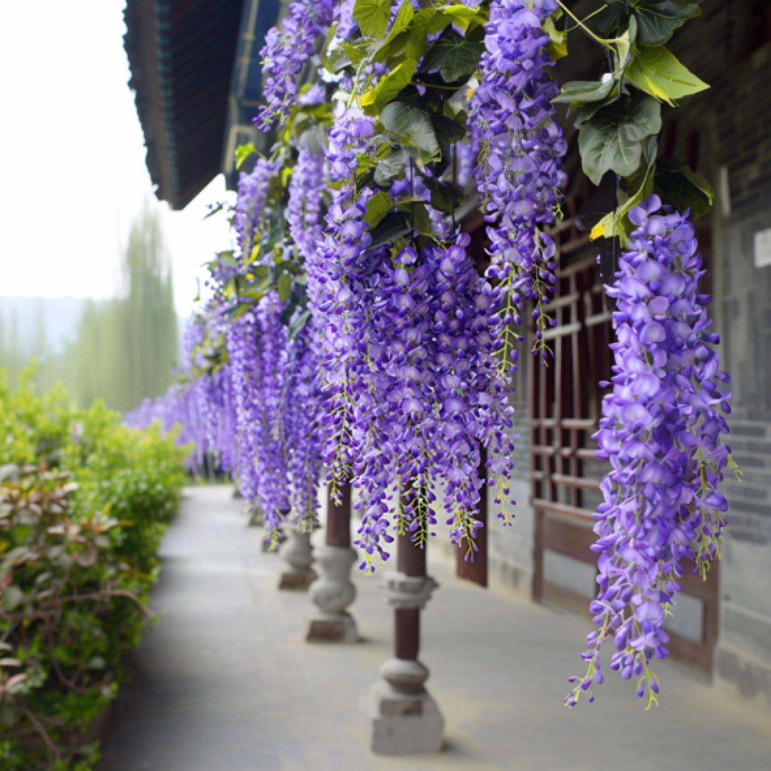 💥$1.99 ONLY TODAY🌸No Maintenance, Pruning or Watering! UV Resistant Lifelike Artificial Wisteria Flower