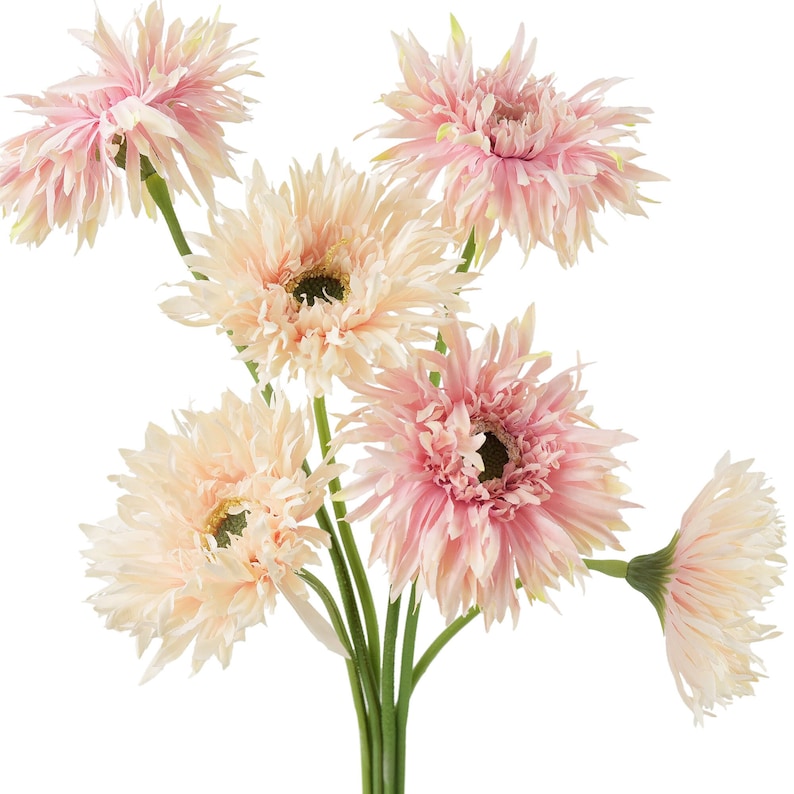 🌼2025 Hot Sale🔥Realistic Artificial Spider Gerbera Daisies💐