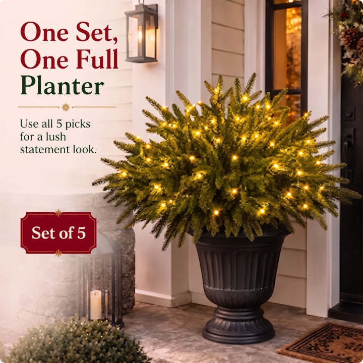 Christmas Enchanted Evergreen Pine
