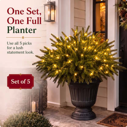 Christmas Enchanted Evergreen Pine