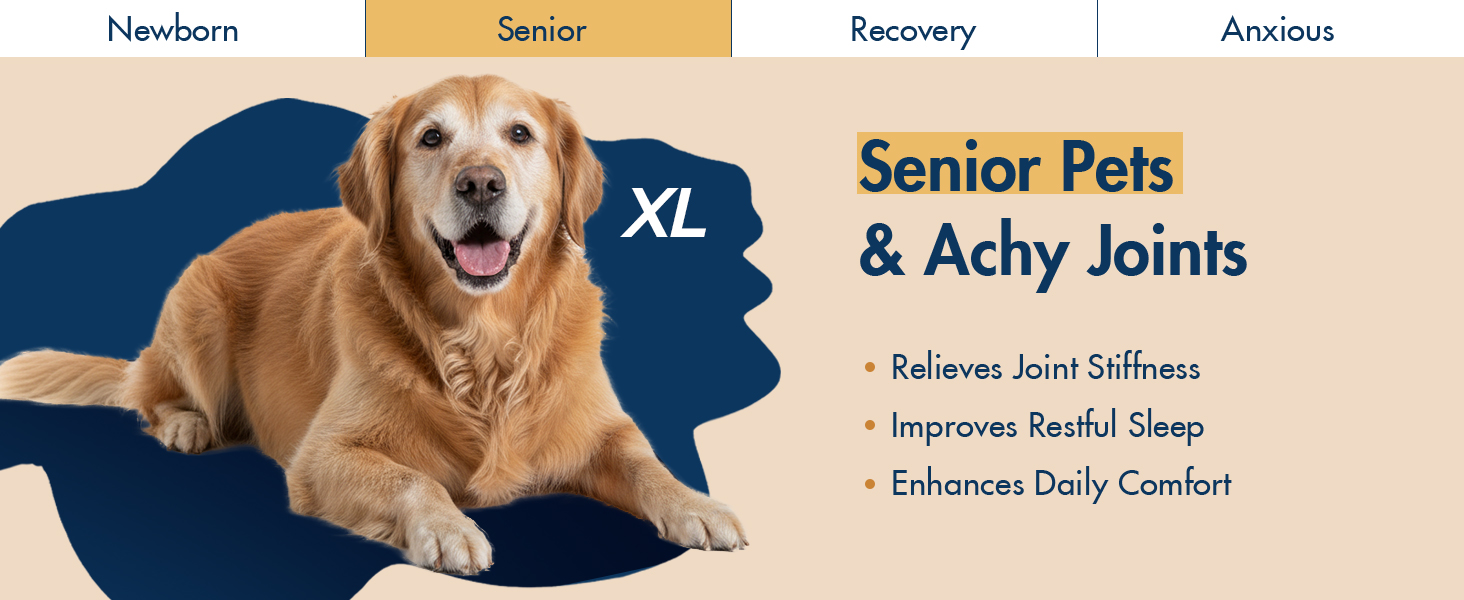 Senior Pets &amp; Achy Joints