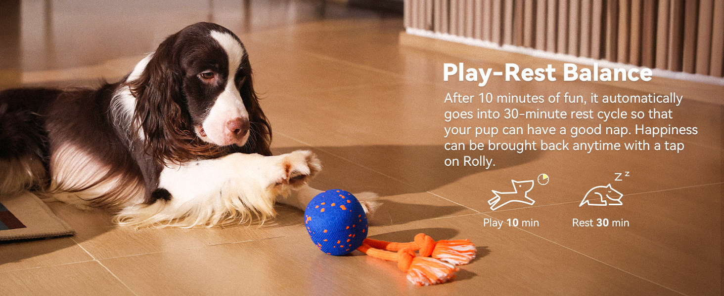 Cheerble Wicked Ball Rolly