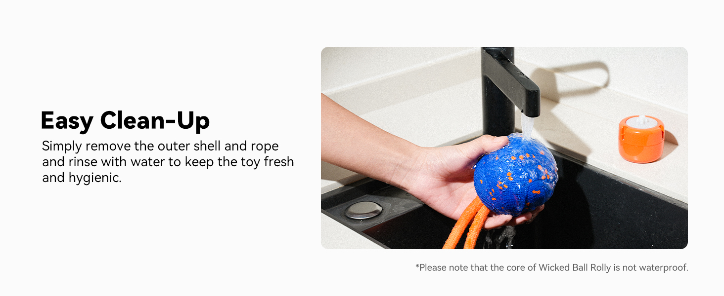 Cheerble Wicked Ball Rolly