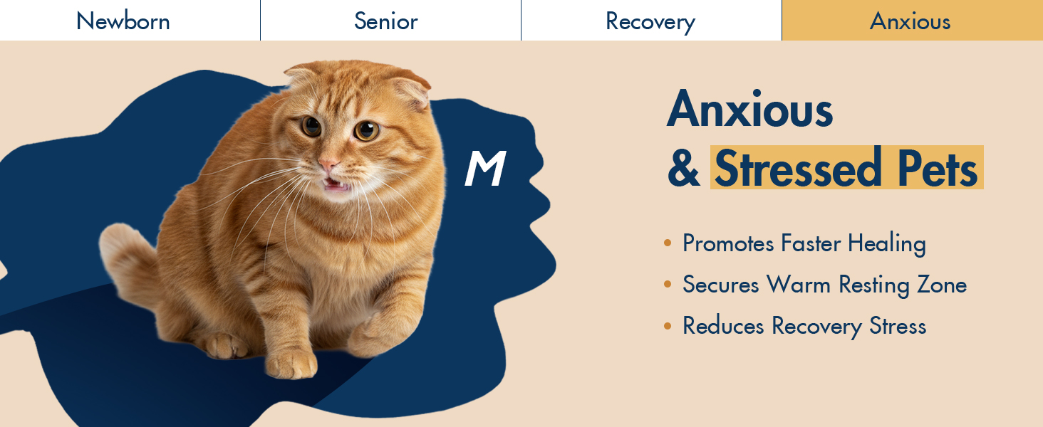 Anxious &amp; Stressed Pets
