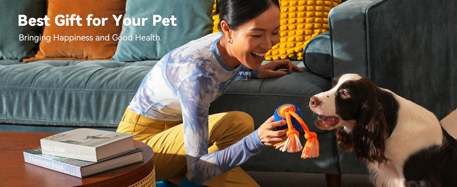 Cheerble Wicked Ball Rolly