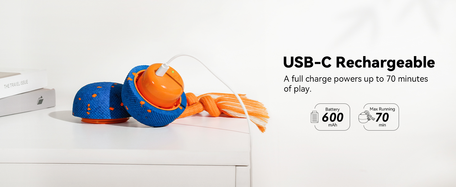 Cheerble Wicked Ball Rolly