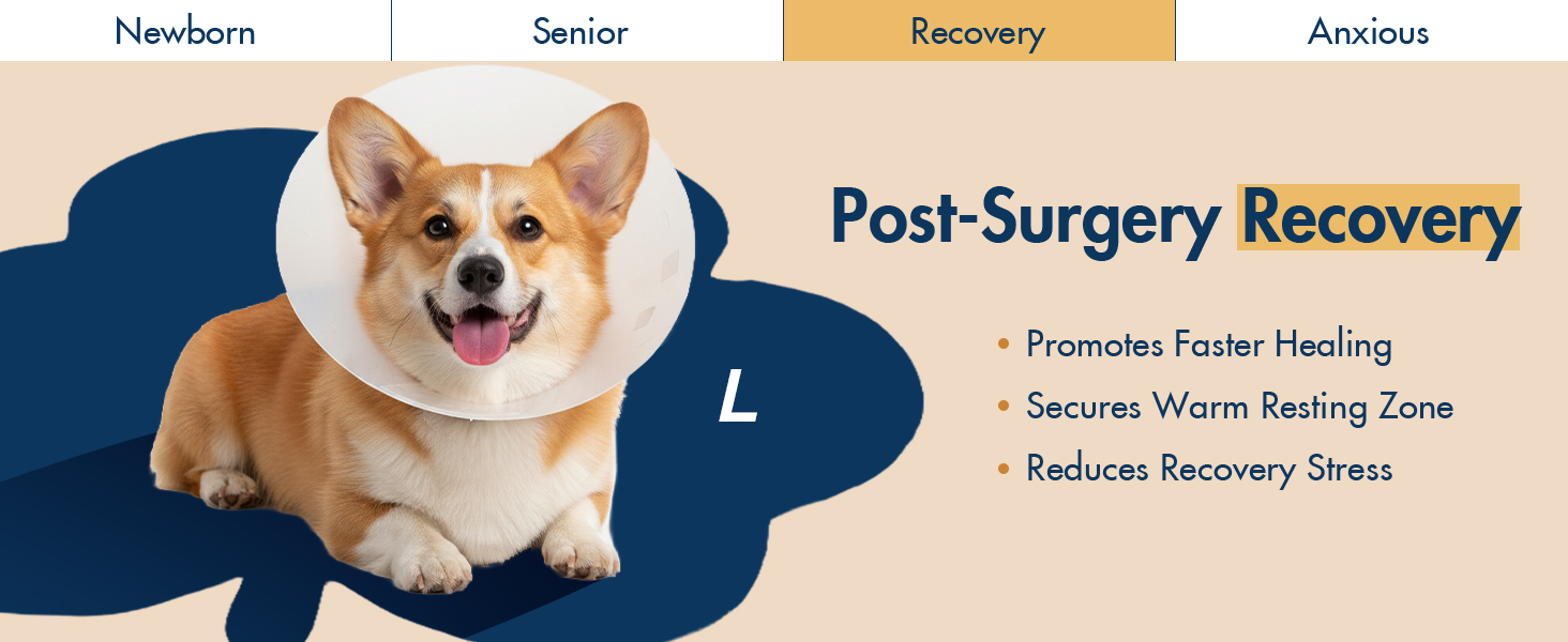 Post-Surgery Recovery