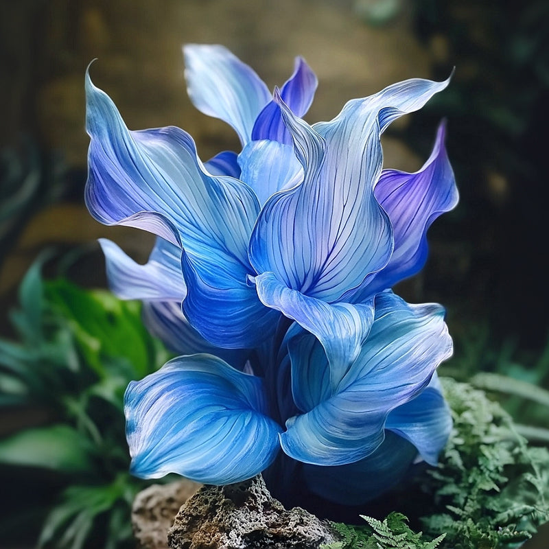 🌿 Ritka prémium hosta magok – Könnyen termeszthető! 🌸 Alakítsd át a kertedet!