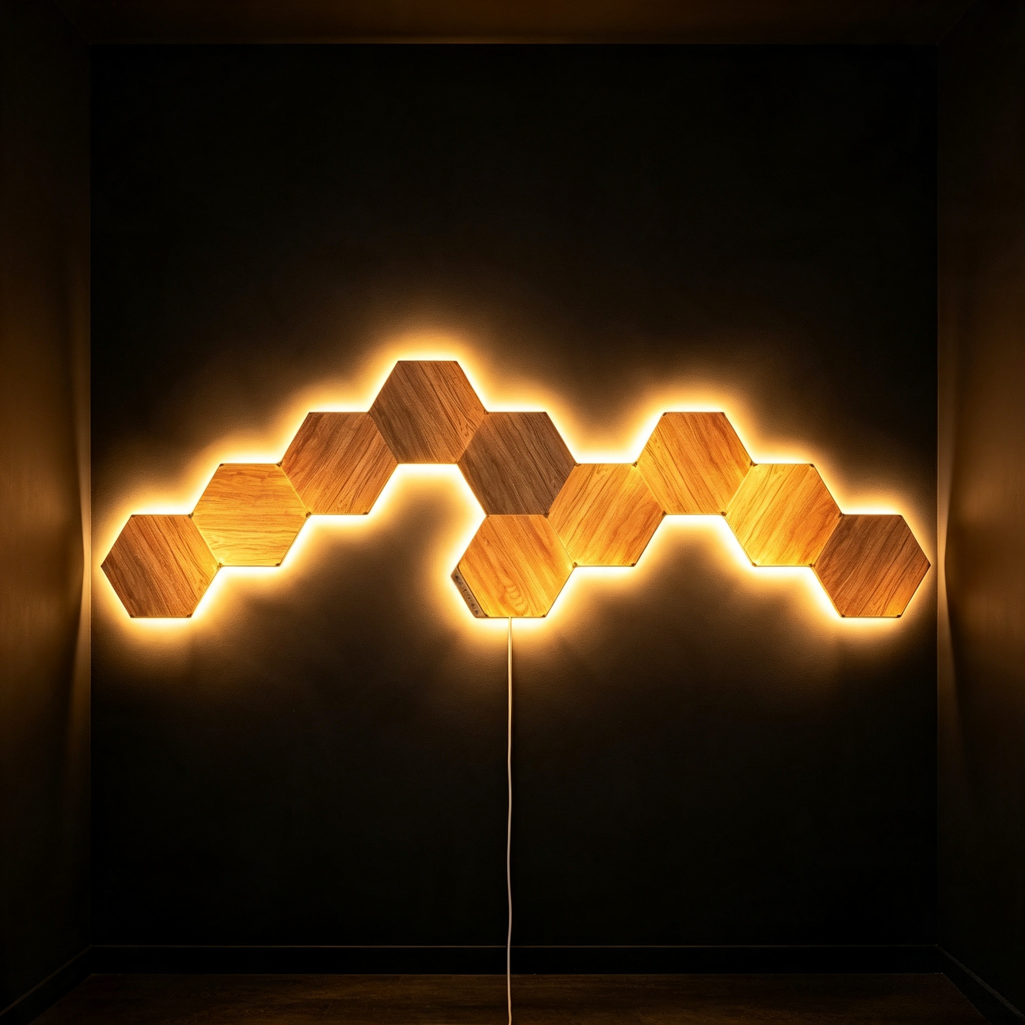 Natural Wood Light Panel