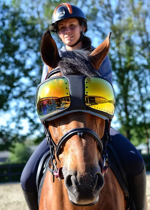Equine Pro Replacement Lenses – UV400 Protection for Horse Riding Goggles 🐴🕶️✨