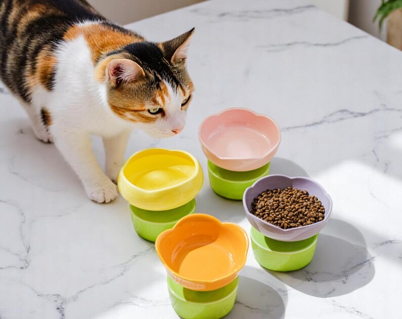 Flower-Shaped Elevated Ceramic Pet Bowl: Whisker Relief, Non-Slip