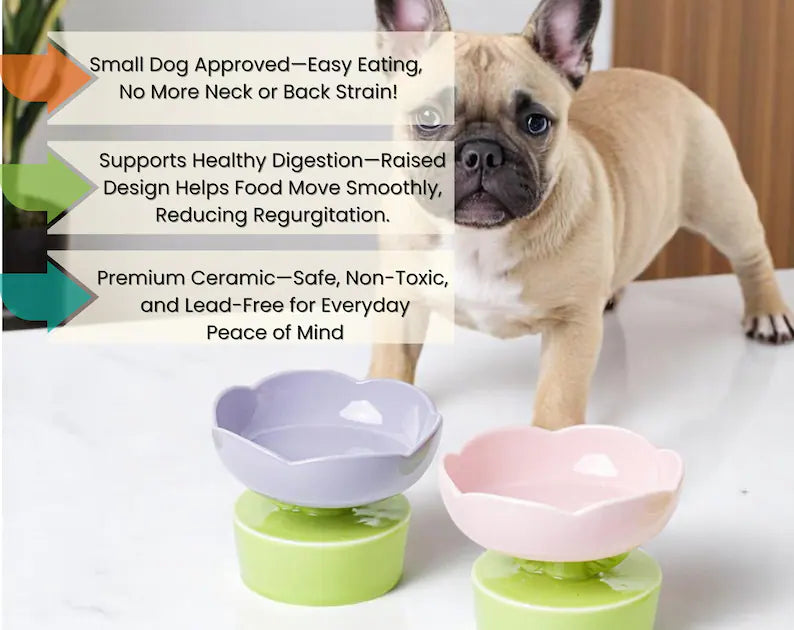 Flower-Shaped Elevated Ceramic Pet Bowl: Whisker Relief, Non-Slip