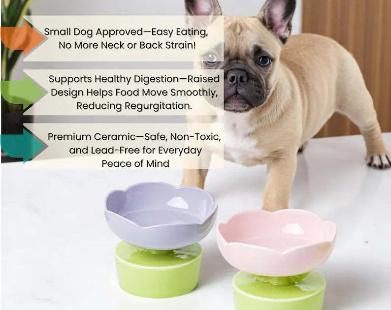 Flower-Shaped Elevated Ceramic Pet Bowl: Whisker Relief, Non-Slip