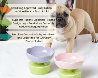 Flower-Shaped Elevated Ceramic Pet Bowl: Whisker Relief, Non-Slip