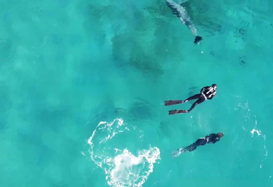 Wearable underwater propulsion system