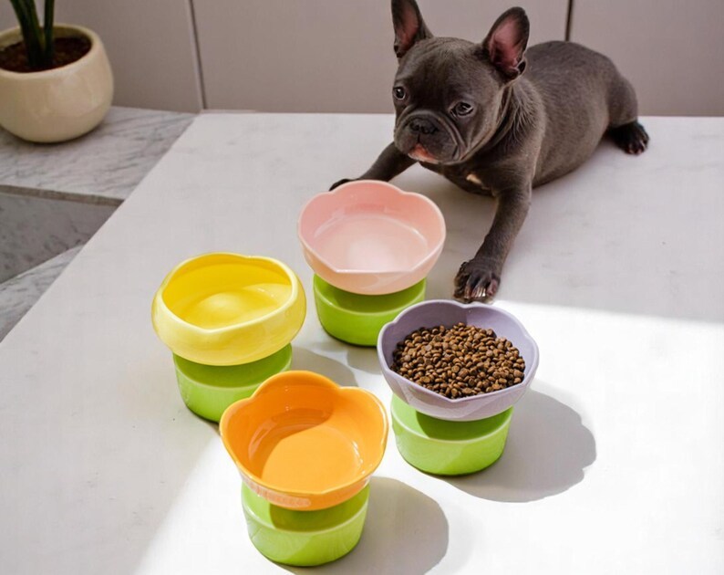 Flower-Shaped Elevated Ceramic Pet Bowl: Whisker Relief, Non-Slip