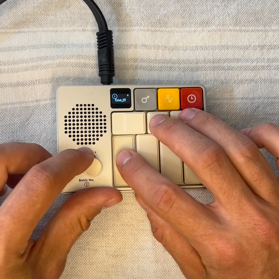 Pocket-sized stringed instrument