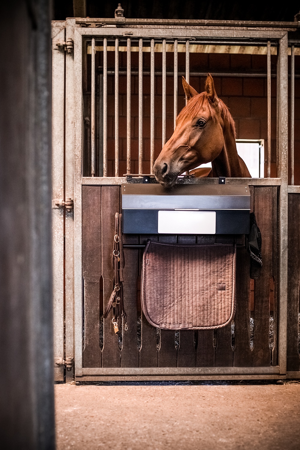 Horse Stall Storage Organizer – Heavy-Duty Metal Tack & Grooming Cabinet