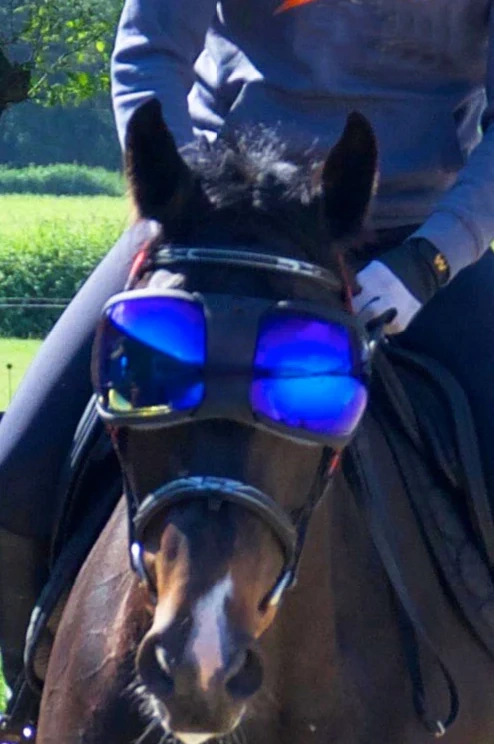 Equine Pro Replacement Lenses – UV400 Protection for Horse Riding Goggles 🐴🕶️✨