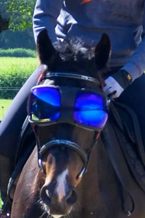 Equine Pro Replacement Lenses – UV400 Protection for Horse Riding Goggles 🐴🕶️✨