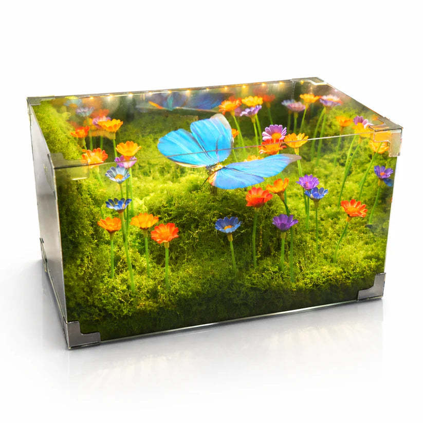 Butterfly Infinity Box – Life-Like Motion with Endless Reflection and Calming Lighting