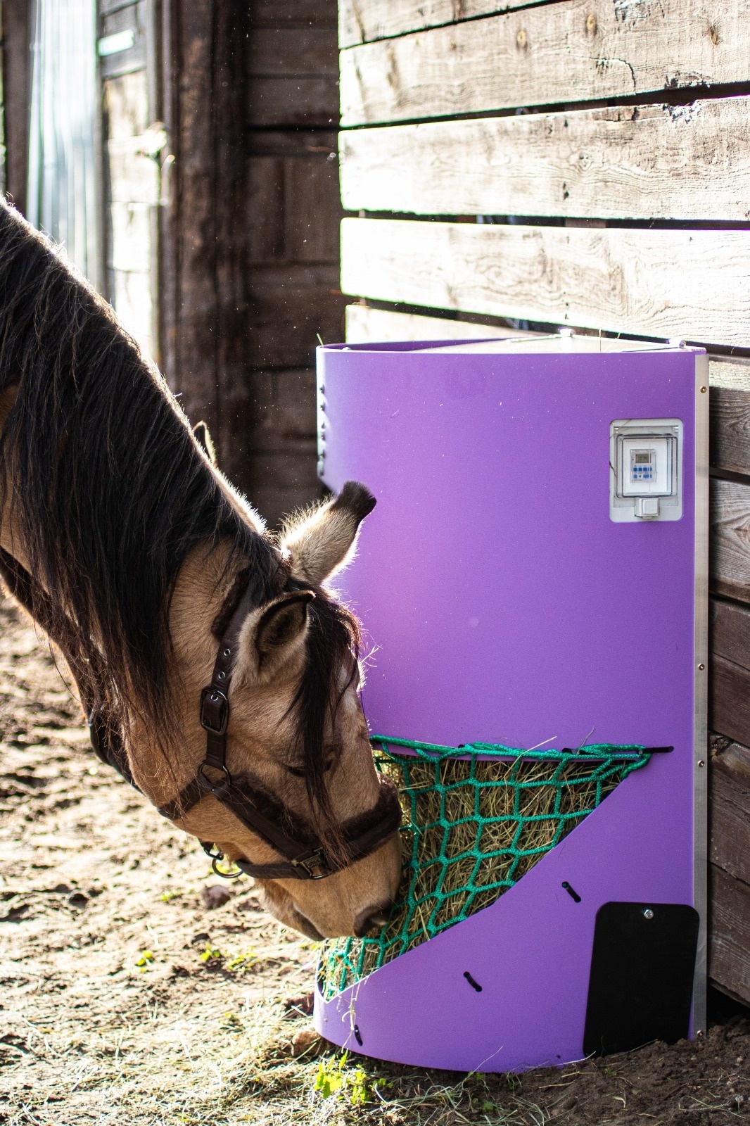 Slow Feed Hay Dispenser – Wall-Mounted Horse Feeder with Hinged Lid 🐴🌾🪵