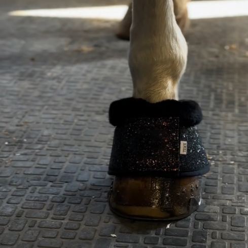 Shiny Black Star Bell Boots for Horses – Protective Horse Leg Gear