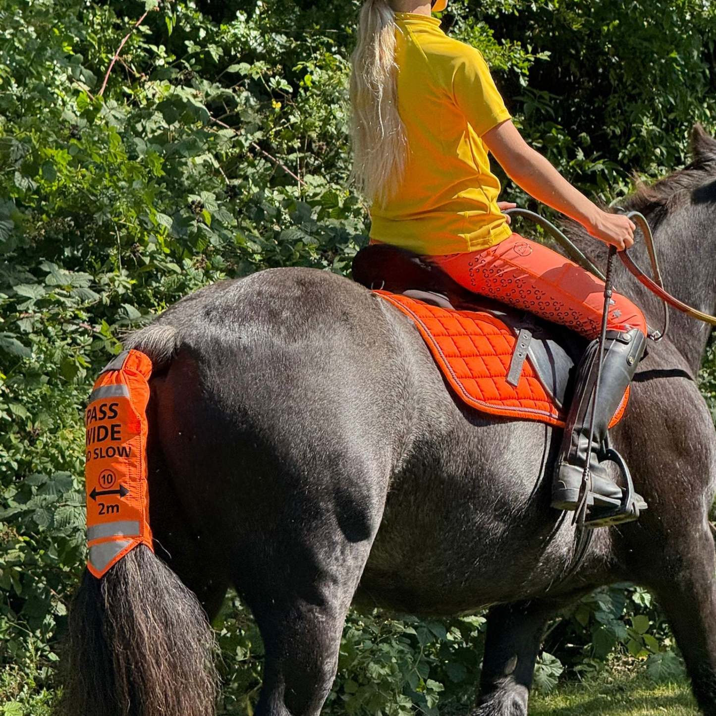 High Visibility Tail Wrap – Ride Safer, More Visible, More Confident