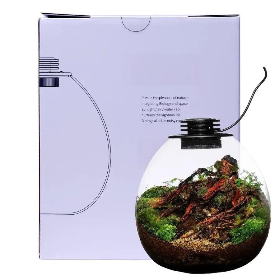 LED Glass Terrarium – Desktop Miniature Ecosystem Container with Integrated Lighting 🌱💡✨
