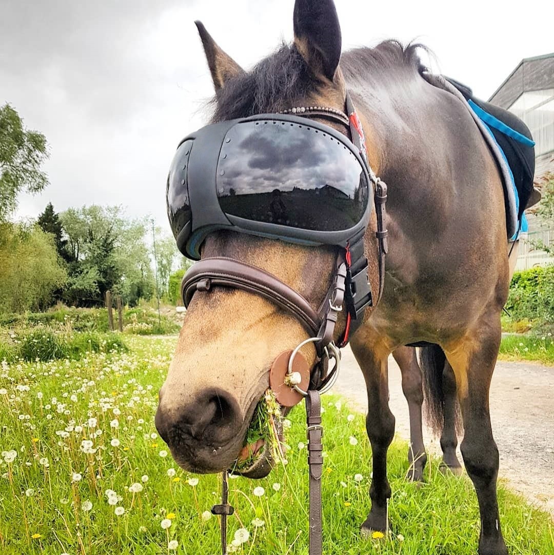 Equine Pro Replacement Lenses – UV400 Protection for Horse Riding Goggles 🐴🕶️✨