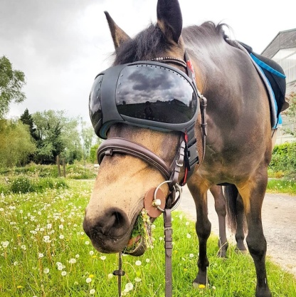 Equine Pro Replacement Lenses – UV400 Protection for Horse Riding Goggles 🐴🕶️✨