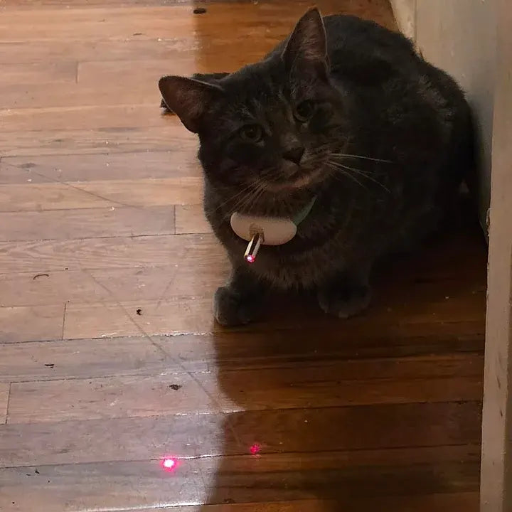 Smart Automatic Cat Laser Collar Toy