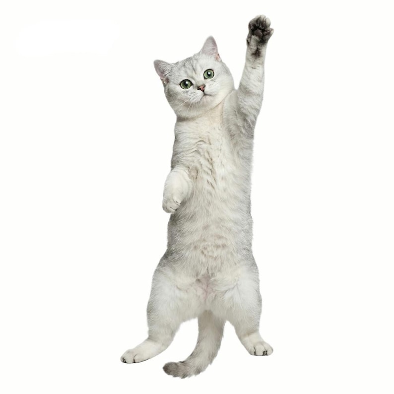 Purrfectly Novelty Cat Shape Tie 🐱👔 – Cute Kawaii Animal Necktie for Cat Lovers