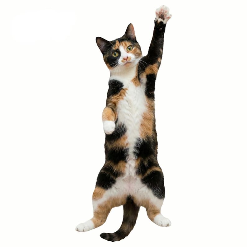 Purrfectly Novelty Cat Shape Tie 🐱👔 – Cute Kawaii Animal Necktie for Cat Lovers