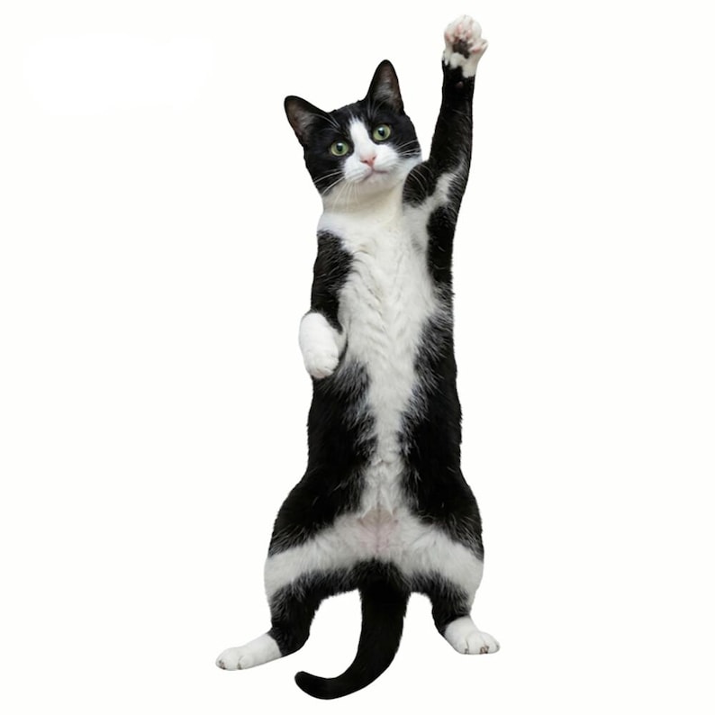 Purrfectly Novelty Cat Shape Tie 🐱👔 – Cute Kawaii Animal Necktie for Cat Lovers