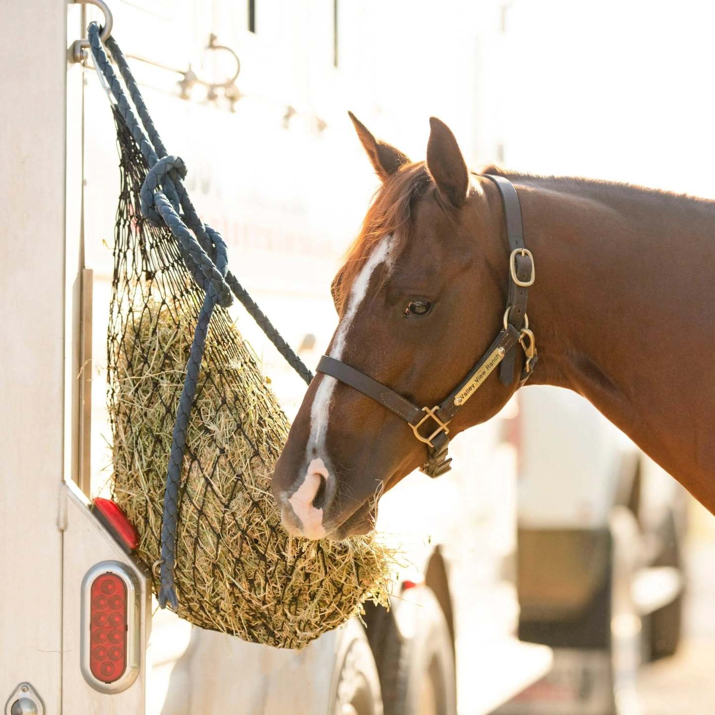 Half-Bale Hay Net | Mini Hay Net for Feeding and Transporting Horses