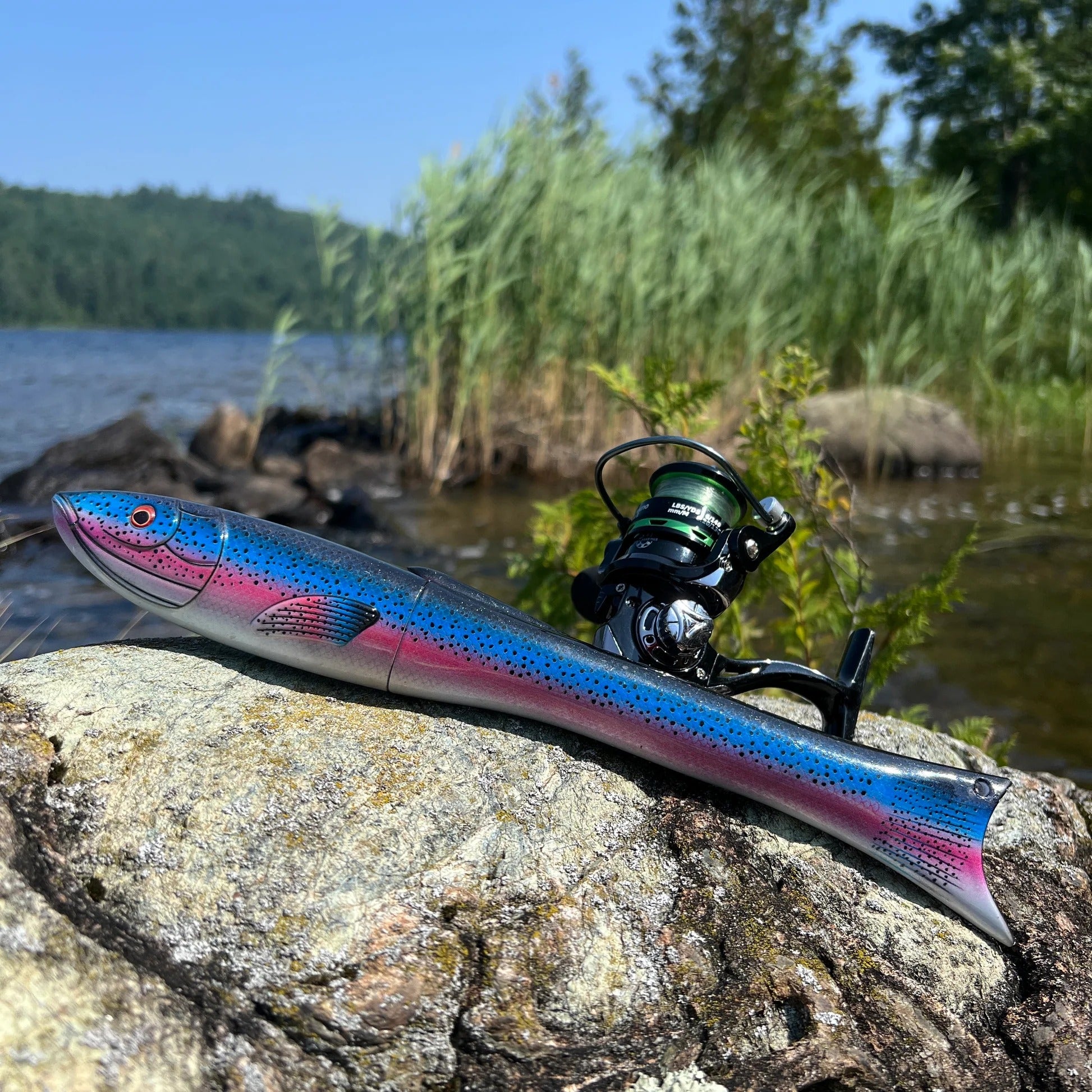 Fish-shaped telescopic fishing rod is small and convenient