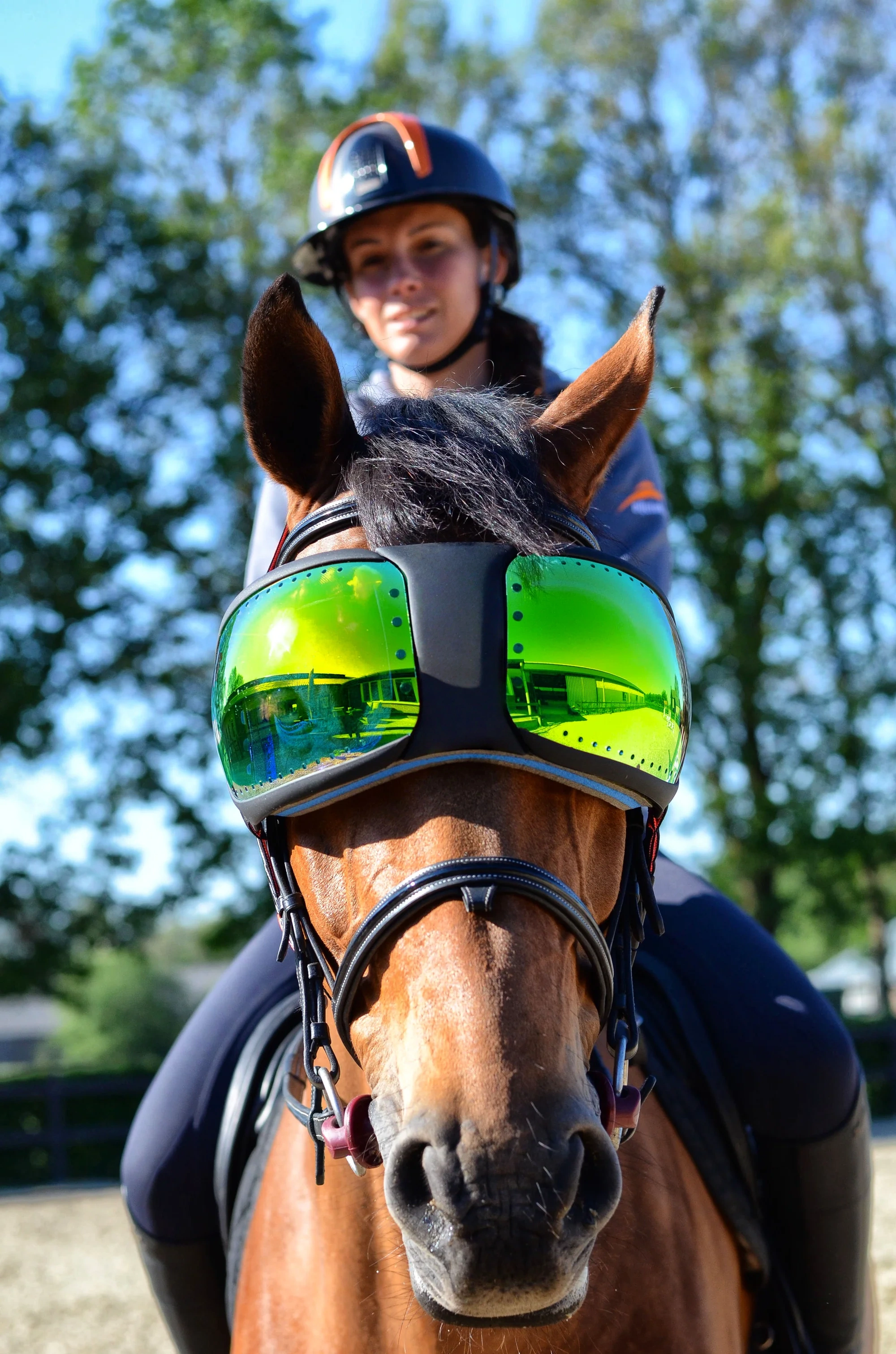Equine Pro Replacement Lenses – UV400 Protection for Horse Riding Goggles 🐴🕶️✨